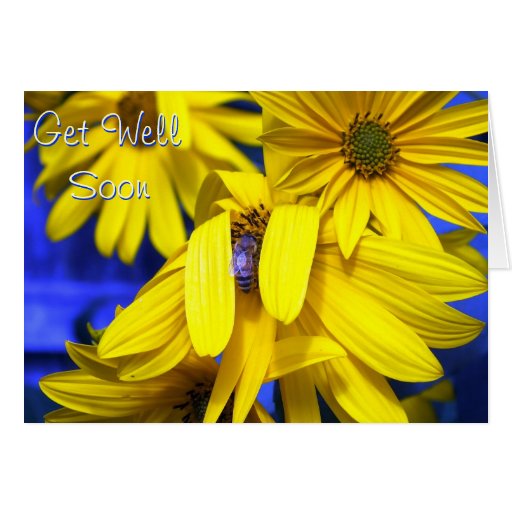 Yellow Sunflowers, Blue Bee -Get Well Soon Card | Zazzle