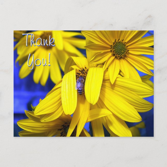 Yellow Sunflowers, Blue Bee -Thank You Card (Front)