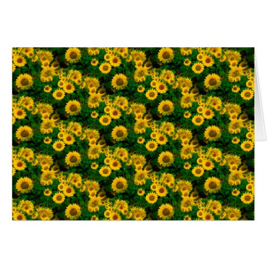 yellow sunflowers cards (Front Horizontal)