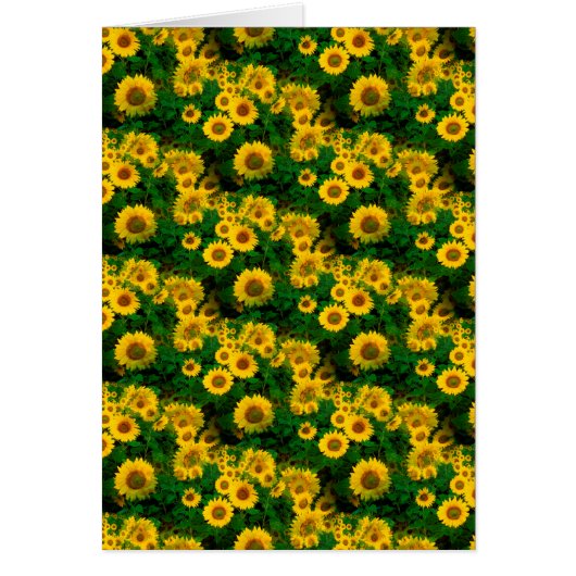 yellow sunflowers cards (Front)