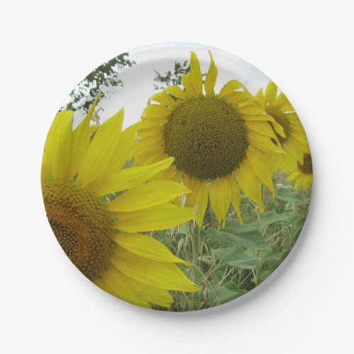 Yellow Sunflowers Custom Paper Plates 7 in