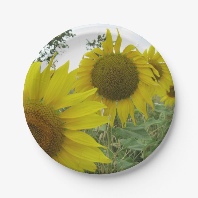 Yellow Sunflowers Custom Paper Plates 7 in (Front)
