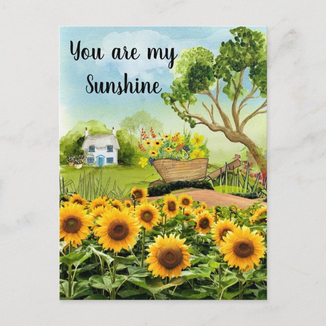 Yellow Sunflowers Landscape  Postcard (Front)