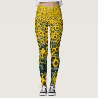 Yellow Sunflowers