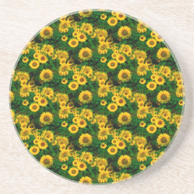 yellow sunflowers sandstone coaster (Front)