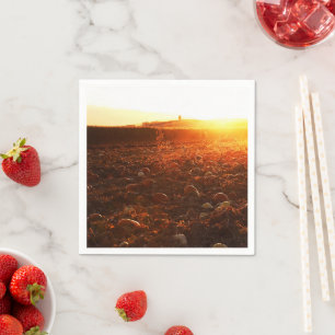 Yellow Sunset Pumpkin Patch Napkins