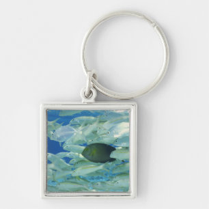 Yellow surgeon fish with yellow stripe goldfish keychain