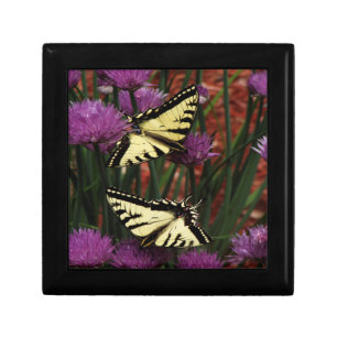 Yellow Swallow Tails  Gift Box