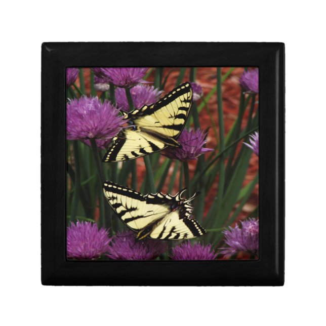 Yellow Swallow Tails  Gift Box (Front)