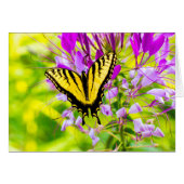 Yellow Swallowtail Butterfly (Front Horizontal)