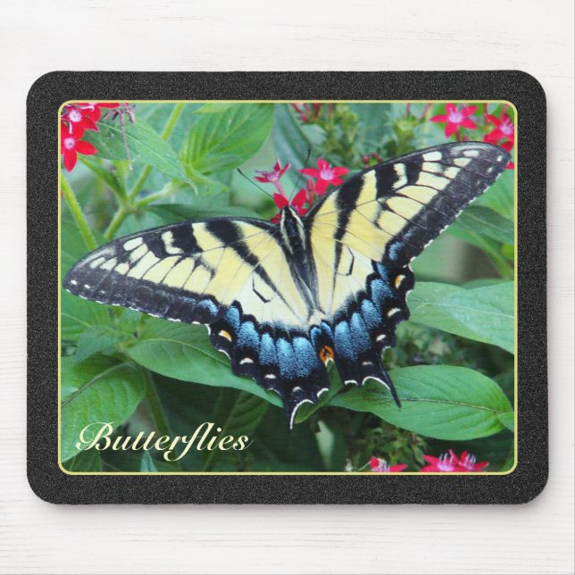 Yellow Swallowtail Butterfly Mousepad (Front)