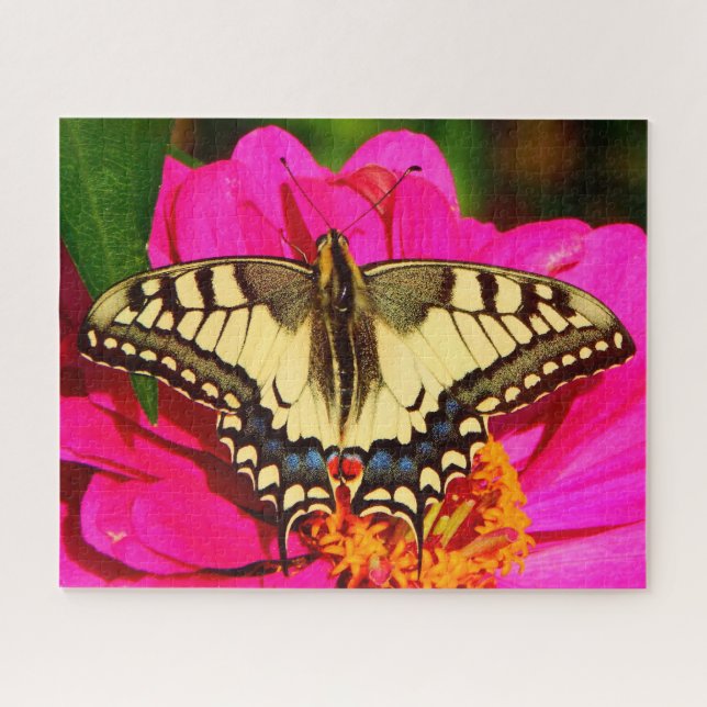 Yellow Swallowtail Butterfly on Pink Flower Jigsaw Puzzle (Horizontal)