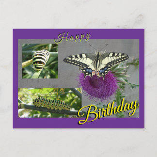 Yellow Swallowtail Collage Birthday Postcard