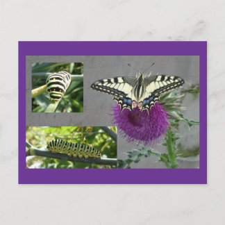 Yellow Swallowtail Collage DIY Postcard