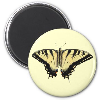 Yellow Swallowtail ~ Magnet by Andy2302 at Zazzle