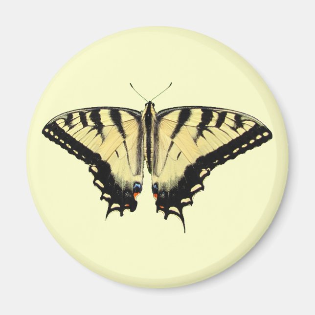 Yellow Swallowtail ~ magnet (Front)