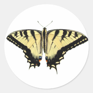 Yellow Swallowtail ~ sticker