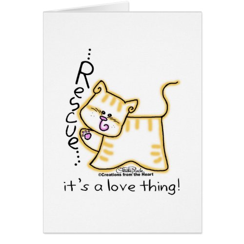 Yellow Tabby Rescueits a love thing