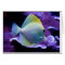 Yellow Tang