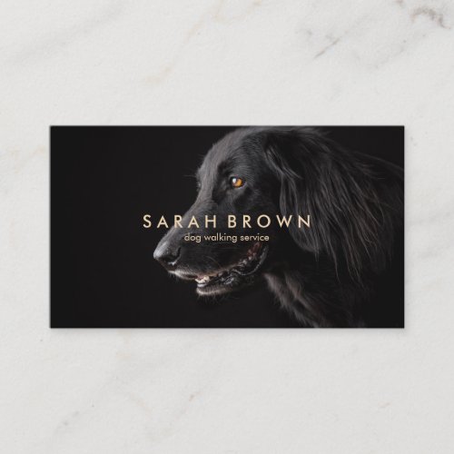 Yellow Text Pet Sitter Groomer Black Labrador Dog Business Card