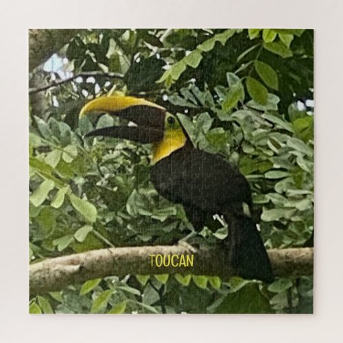 Yellow_Throated Toucan Costa Rica Design Puzzle