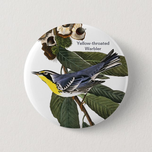Yellow-throated Warbler, John James Audubon, Bird Button (Front)