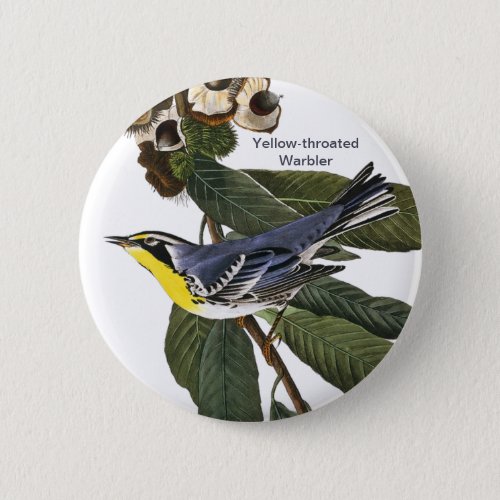 Yellow_throated Warbler John James Audubon Bird Button