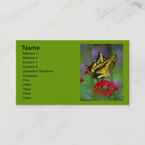 Yellow Tiger Swallowtail Butterfly Business Card