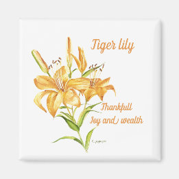 Yellow tigerlily botanical watercolor and meaning magnet