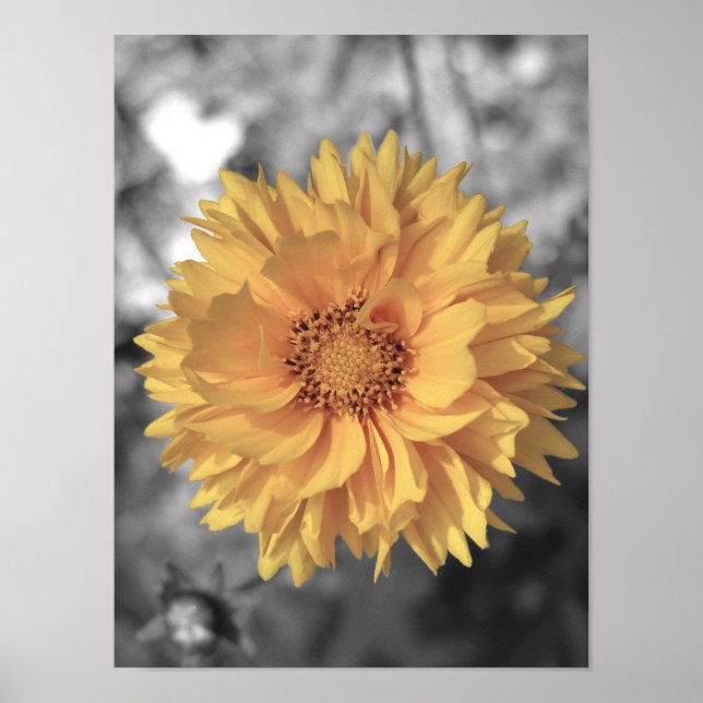 Yellow Tinted Flower Poster (Front)