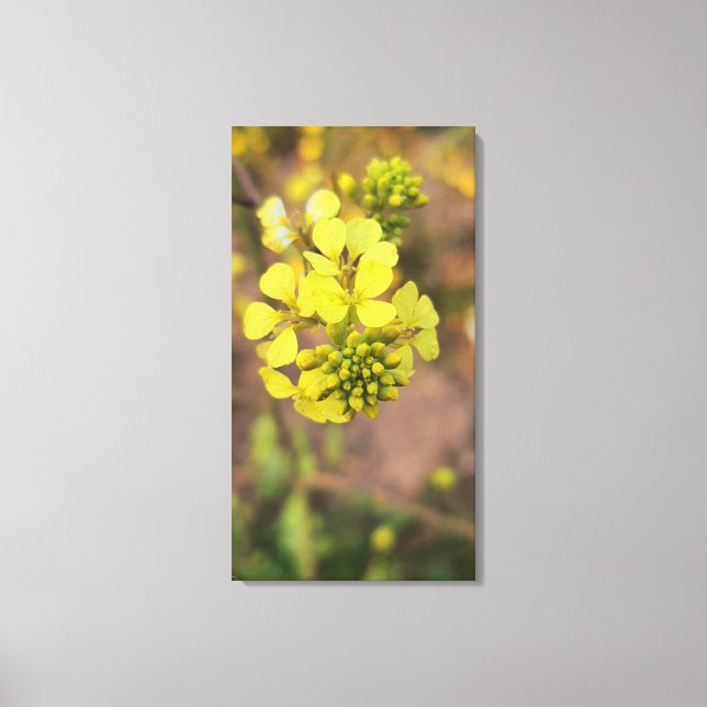 yellow tiny flower spring flora collection canvas print (Front)