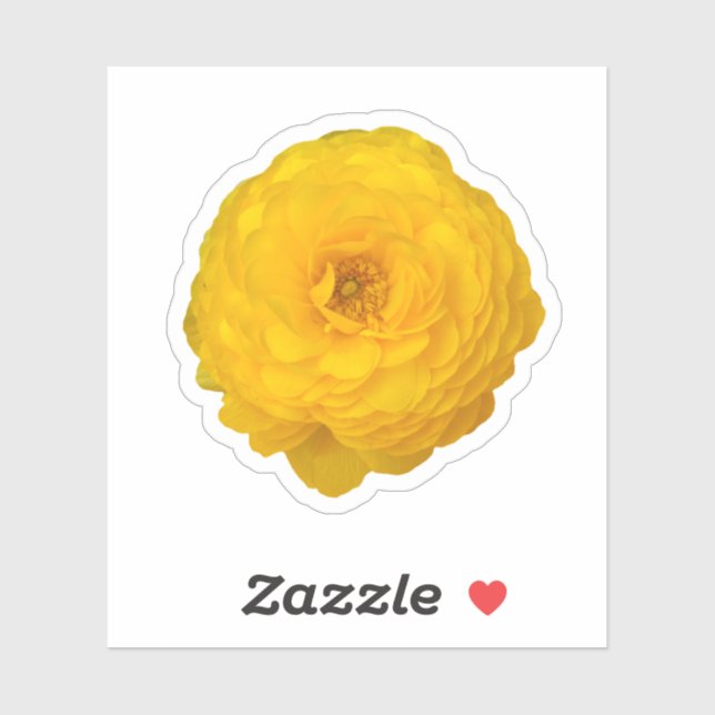 Yellow Transvaal Daisy Blossom Sticker (Sheet)