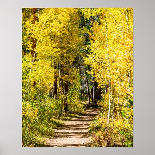 Yellow Tree Road  Hiking in Autumn Poster