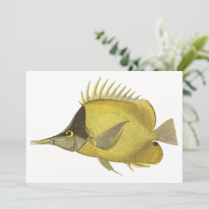 Yellow Tropical Chelmon Longirostris, Vintage Fish