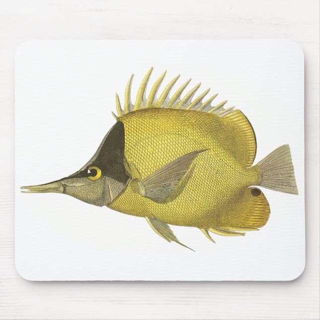 Yellow Tropical Chelmon Longirostris, Vintage Fish Mouse Pad (Front)