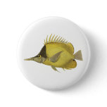 Yellow Tropical Chelmon Longirostris, Vintage Fish Pinback Button