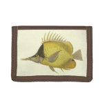 Yellow Tropical Chelmon Longirostris, Vintage Fish Tri-fold Wallet