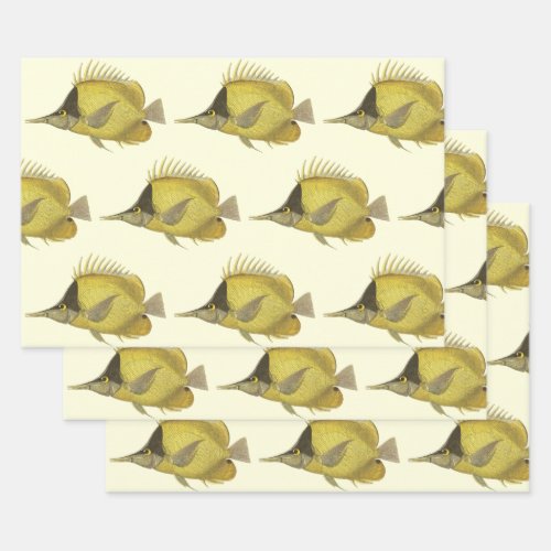 Yellow Tropical Chelmon Longirostris Vintage Fish Wrapping Paper Sheets