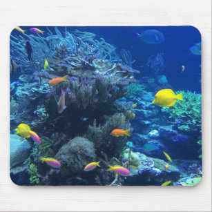 Colorful Tropical Fish Underwater Pattern Desk Mat, Zazzle