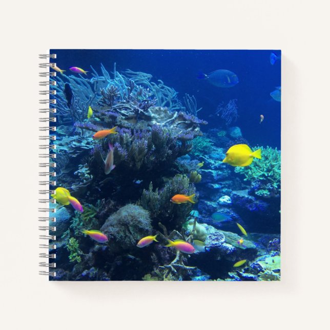 Yellow Tropical Fish Underwater Photo Notebook (Front)