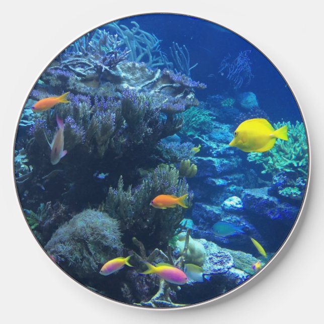 Yellow Tropical Fish Underwater Photo Wireless Charger (Front)