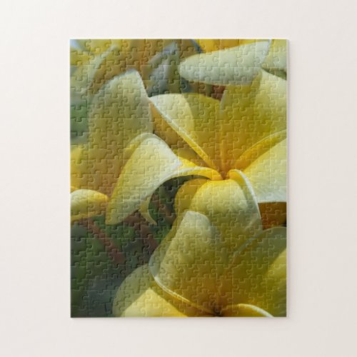 Yellow Tropical Plumeria Flowers Photo Puzzle