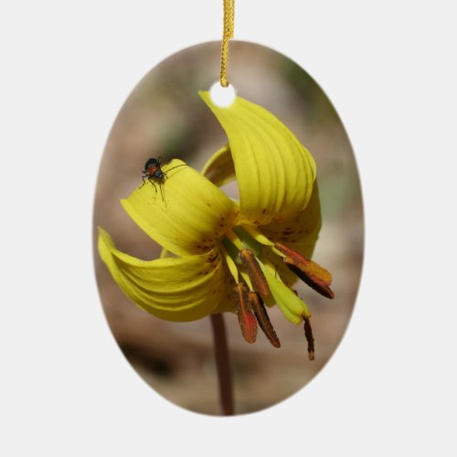 Yellow Trout Lily Floral Ornament