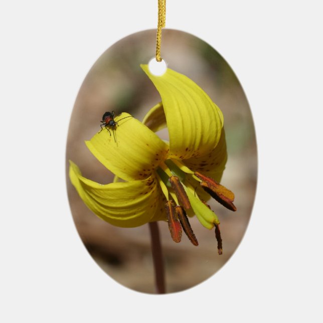 Yellow Trout Lily Floral Ornament (Front)
