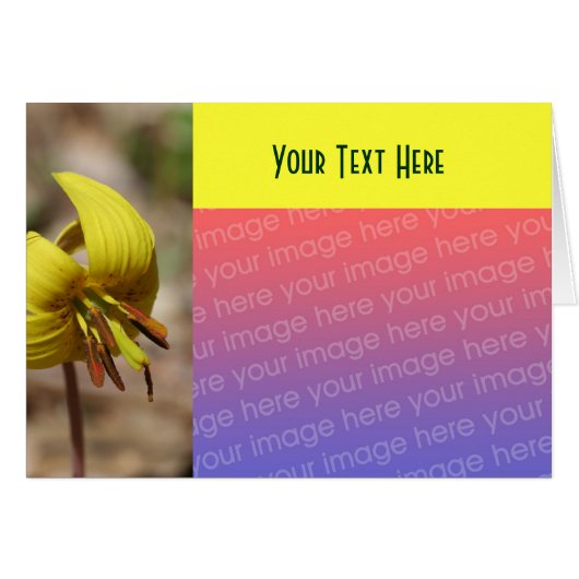 Yellow Trout Lily Flower Photo Card (Front Horizontal)