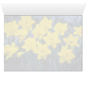 yellow Trumpet Narcissi, 'King Alfred' flowers (Inside Horizontal (Bottom))