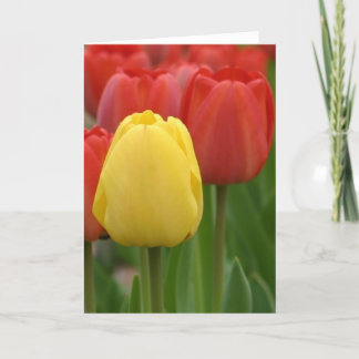 Yellow Tulip Card