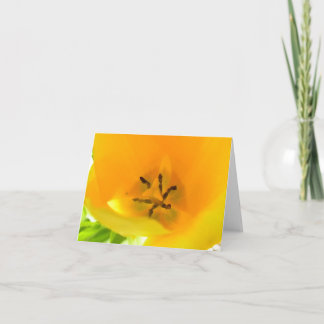 Yellow Tulip Card