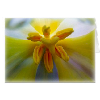 Yellow Tulip Cards