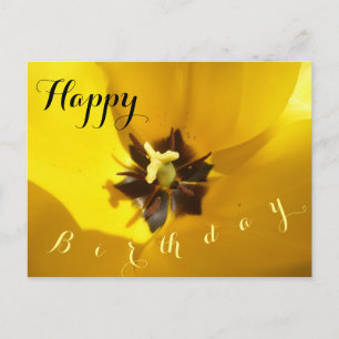 Yellow Tulip Close Up Happy Birthday Postcard